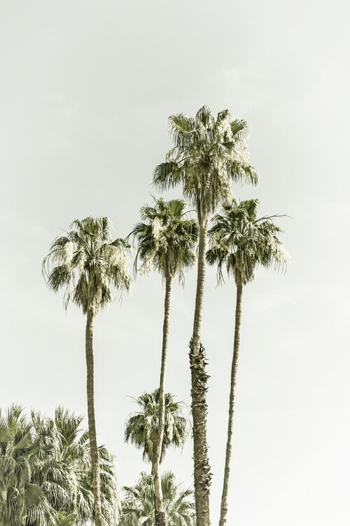 T-shirt Palm Trees Summertime | Vintage