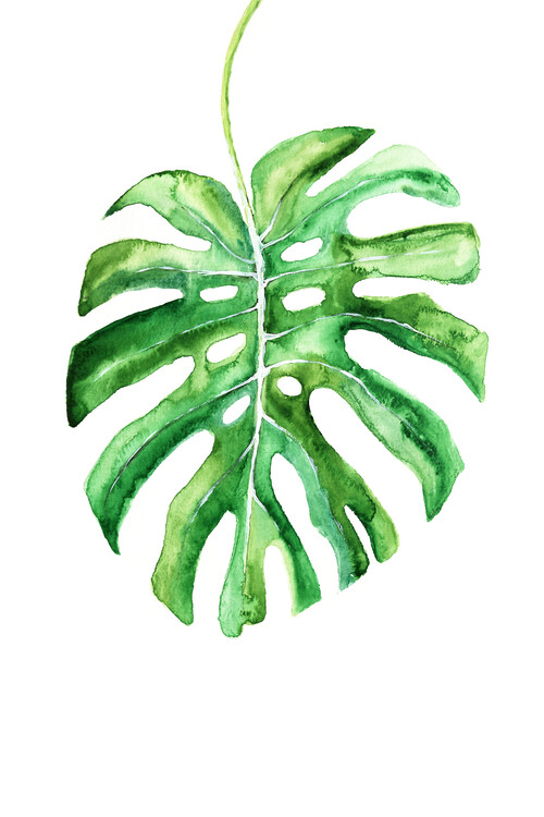 Camiseta Watercolor monstera leaf