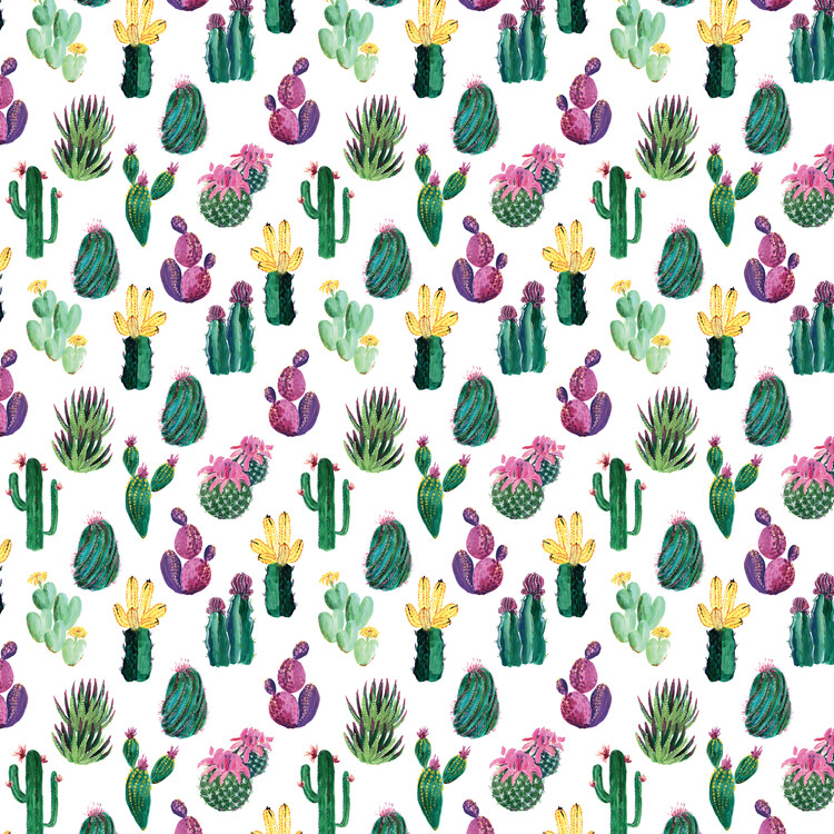 Poster Colorful painterly cacti
