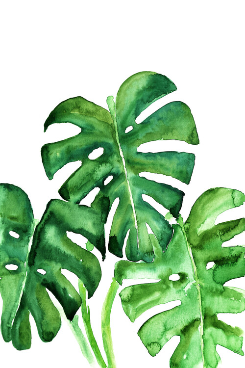 Camiseta Watercolor monstera leaves