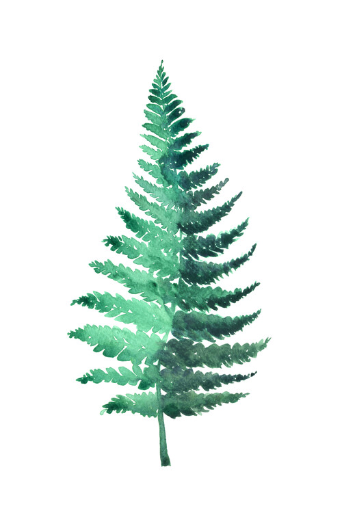 Obraz na plátně Watercolor fern illustration