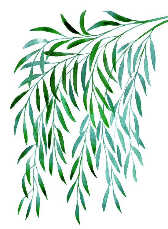 Плакат Cascading watercolor eucalyptus