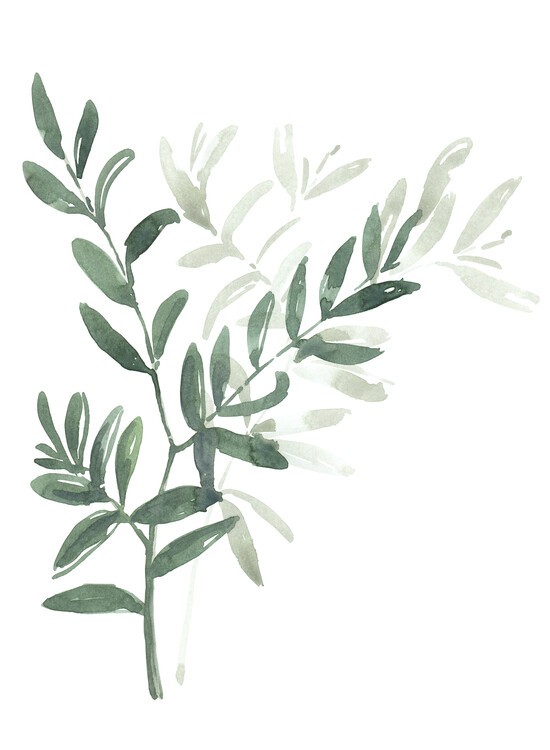 Sticker Watercolor laurel branch