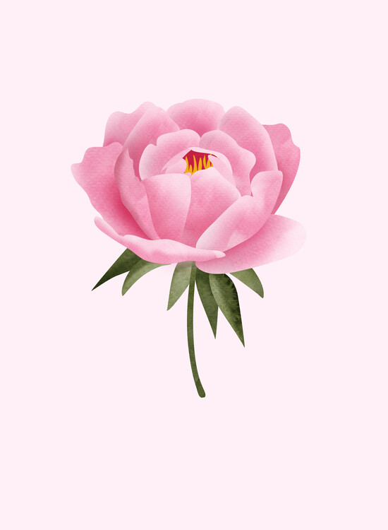 Poster Peony statement