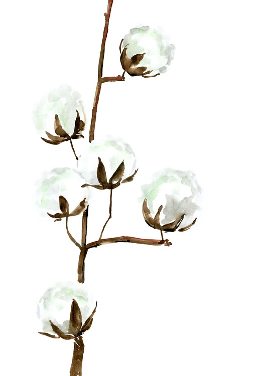 Sticker Watercolor cotton branches