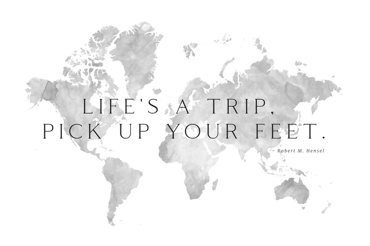 Canvas Print Life's a trip world map