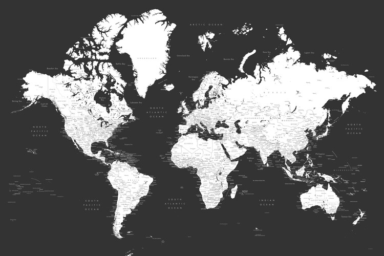 Poster Black and White Detailed World Map with Cities – Milo
