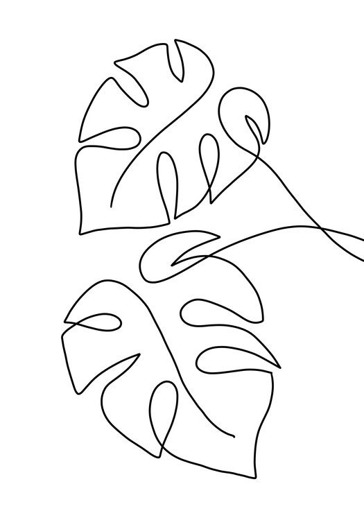 Poster Monstera line art