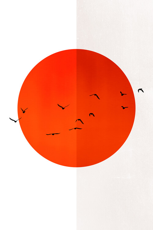 Poster 13 Seagulls In The Sun