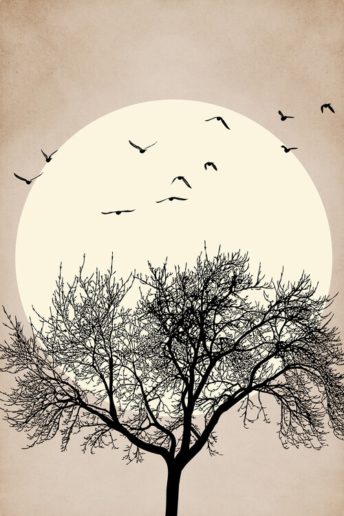 Poster Autumn Dreamers