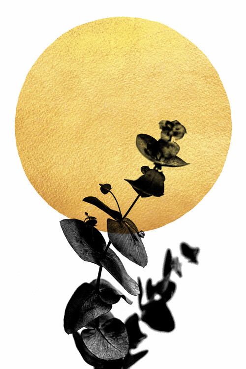 Plakát La Vie En Rose