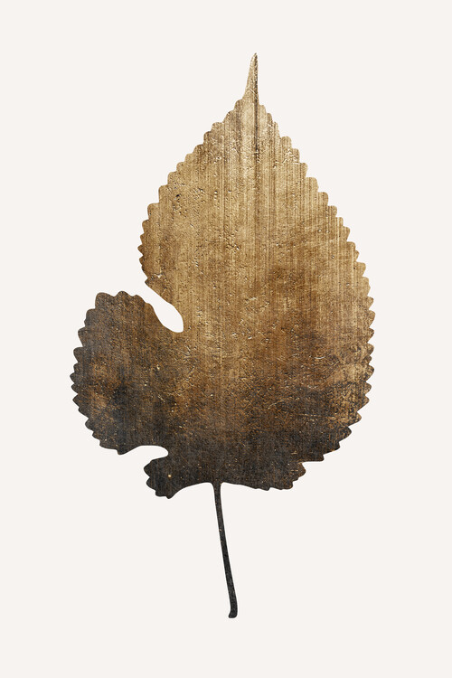 Plakát Golden Leaf