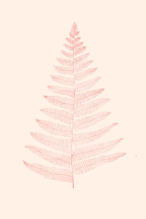 Poster Botanica Minimalistica Rouge