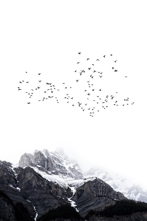 Poster The Mountains