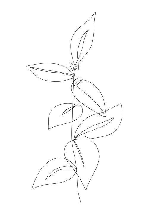 Poster Leaf line art 2