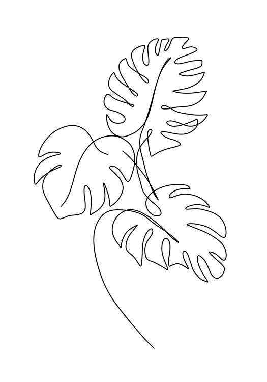 Poster Monsteras leafs