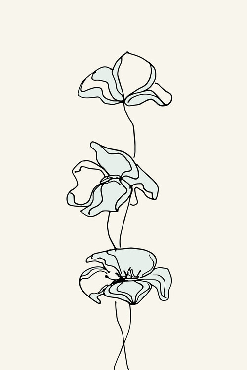 Плакат whiteflowers