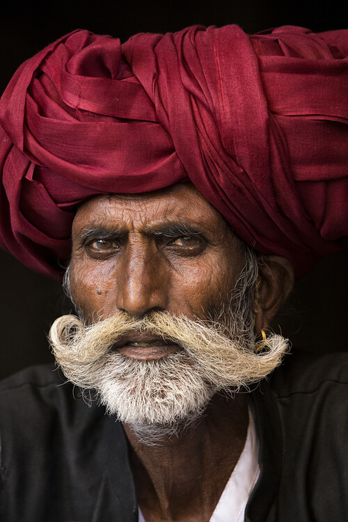 Плакат Man from Rajasthan