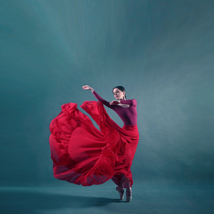 Poster The girl a dance