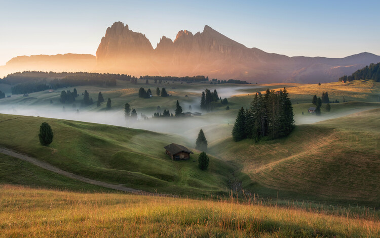Canvas Print Alpe di Siusi