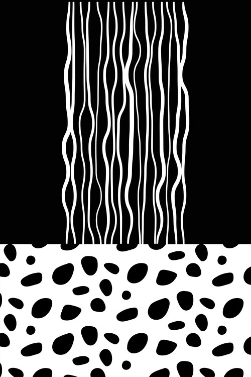 Плакат Black and white