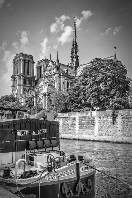 Poster PARIS Cathedral Notre-Dame | monochrome