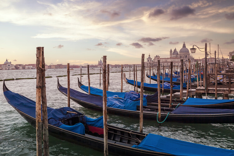 Poster VENICE Gondolas & Santa Maria della Salute